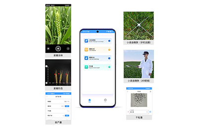 北海市小麦亩穗数分析仪IN-XM02